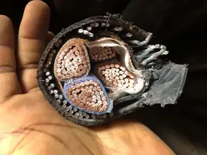 300mm 4core Armoured Cable