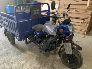 New Tricycle 2023 Blue