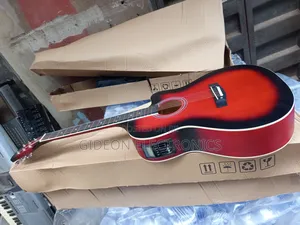Semi Acoustic Guitar