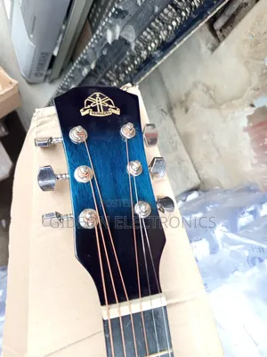 Semi Acoustic Guitar