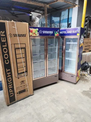 Snowsea Double Door and Single Chiller