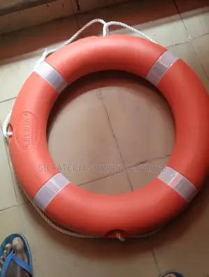 Original 2.5kg Life Buoy