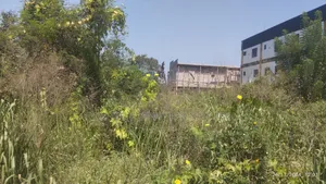 Photo - Forsale Direct Brief Percel of Land Measuring 4,196 SQM ,