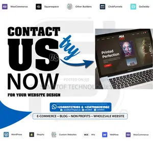 We'll Design a Professional Wordpress Website or Web Design