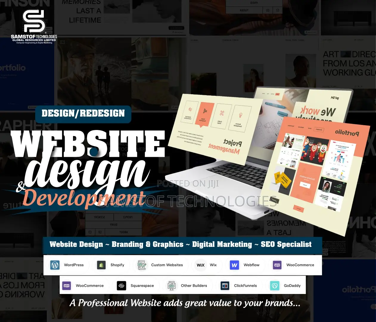 We'll Design a Professional Wordpress Website or Web Design
