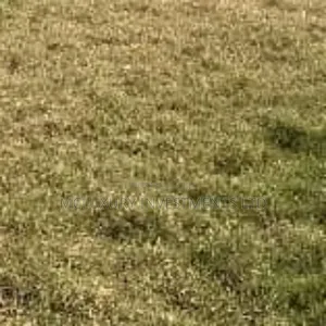5 Plots of Land Selling Hot