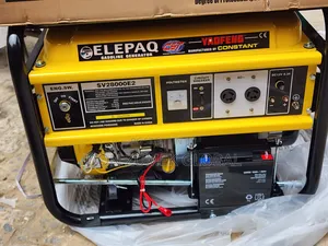 13kva Elepaq Constant Generator