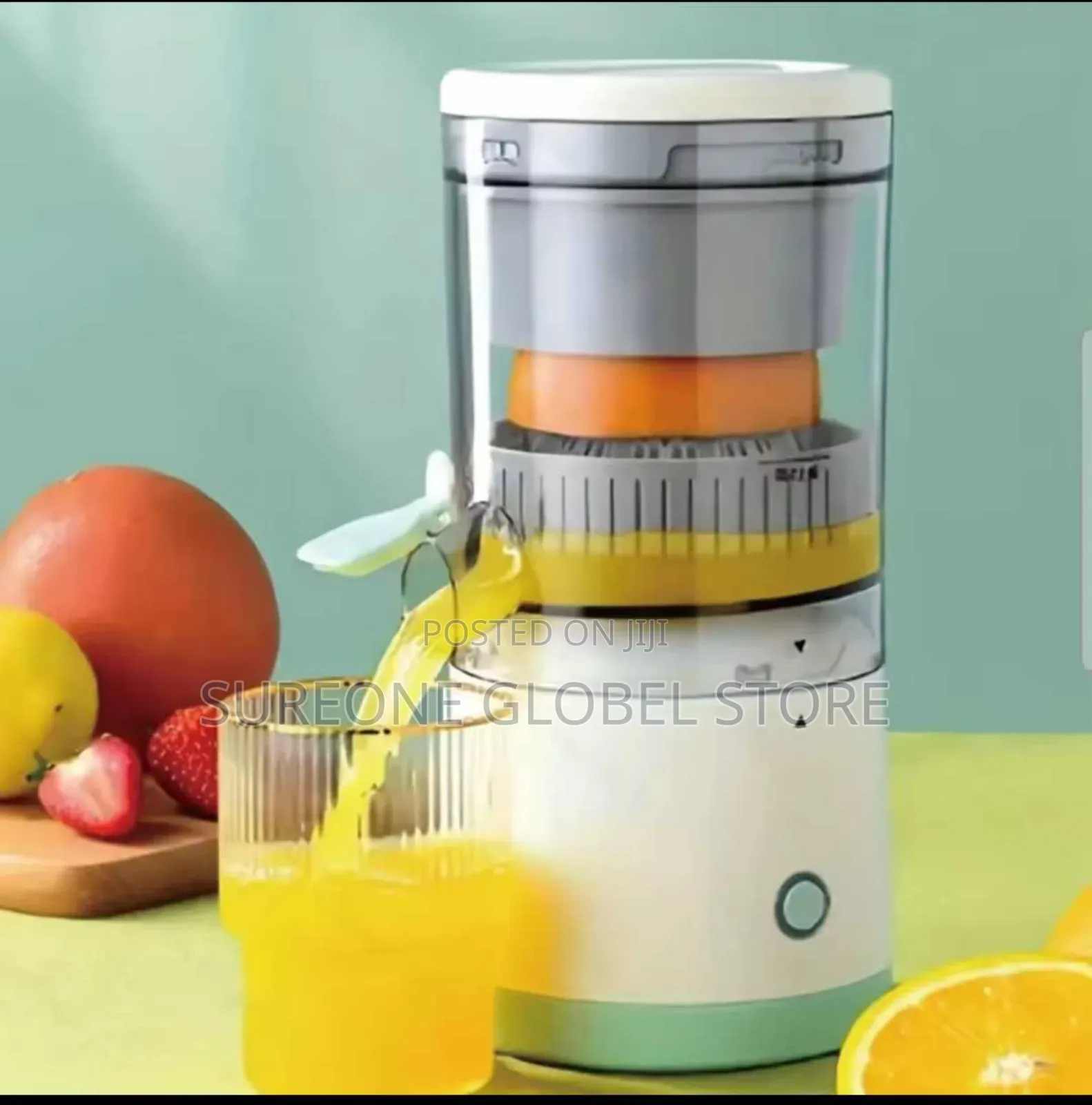 Electric Automatic Fruit Juicer