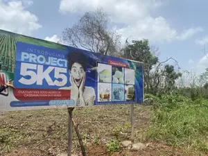 Buy Land Earn Stress Free Income From Cassava on a Yearly Basis