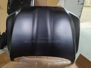 Land Cruiser Bonnet 2024