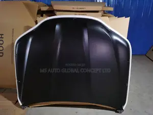 Lexus Lx600 Bonnet