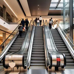 Escalators in Large-Scale Projects