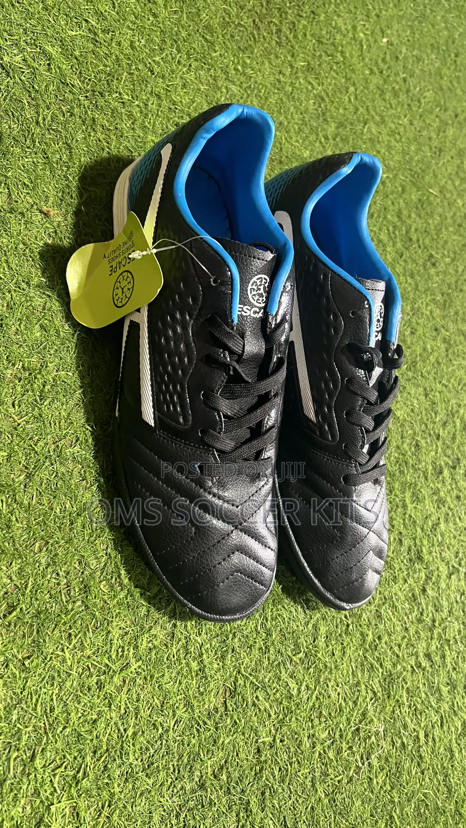 Afa Sports Turf (41)