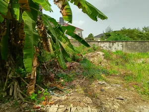 1,330 SQM Land With C of O at Ejigbo, Lagos