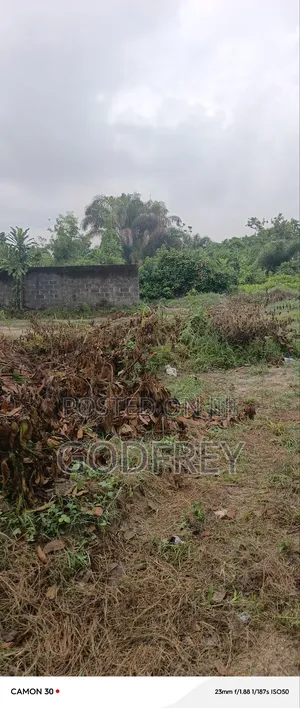 Landed Commercial Property