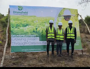 Photo - Farmland for Sale in Ogun State