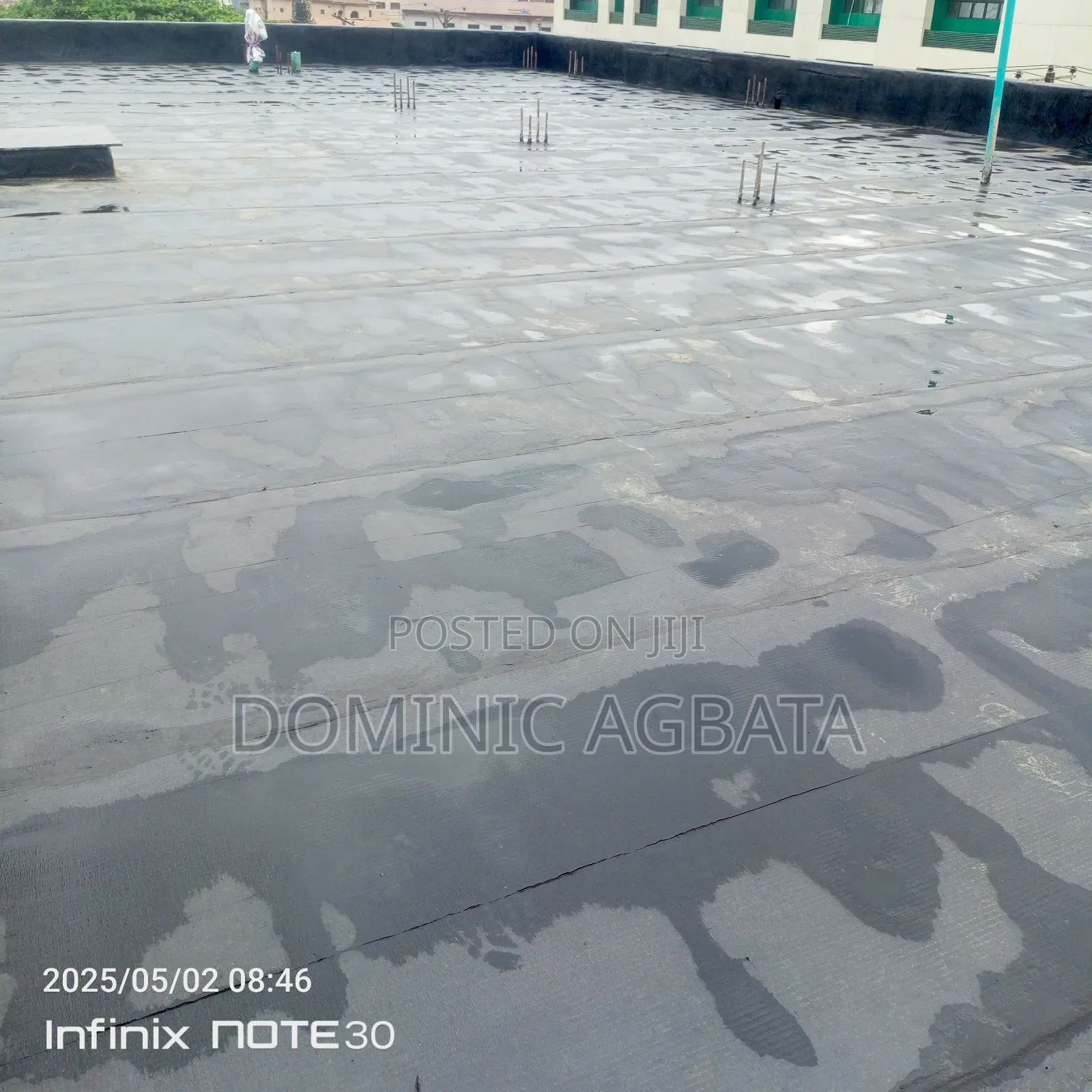 Zany Waterproofing Expert