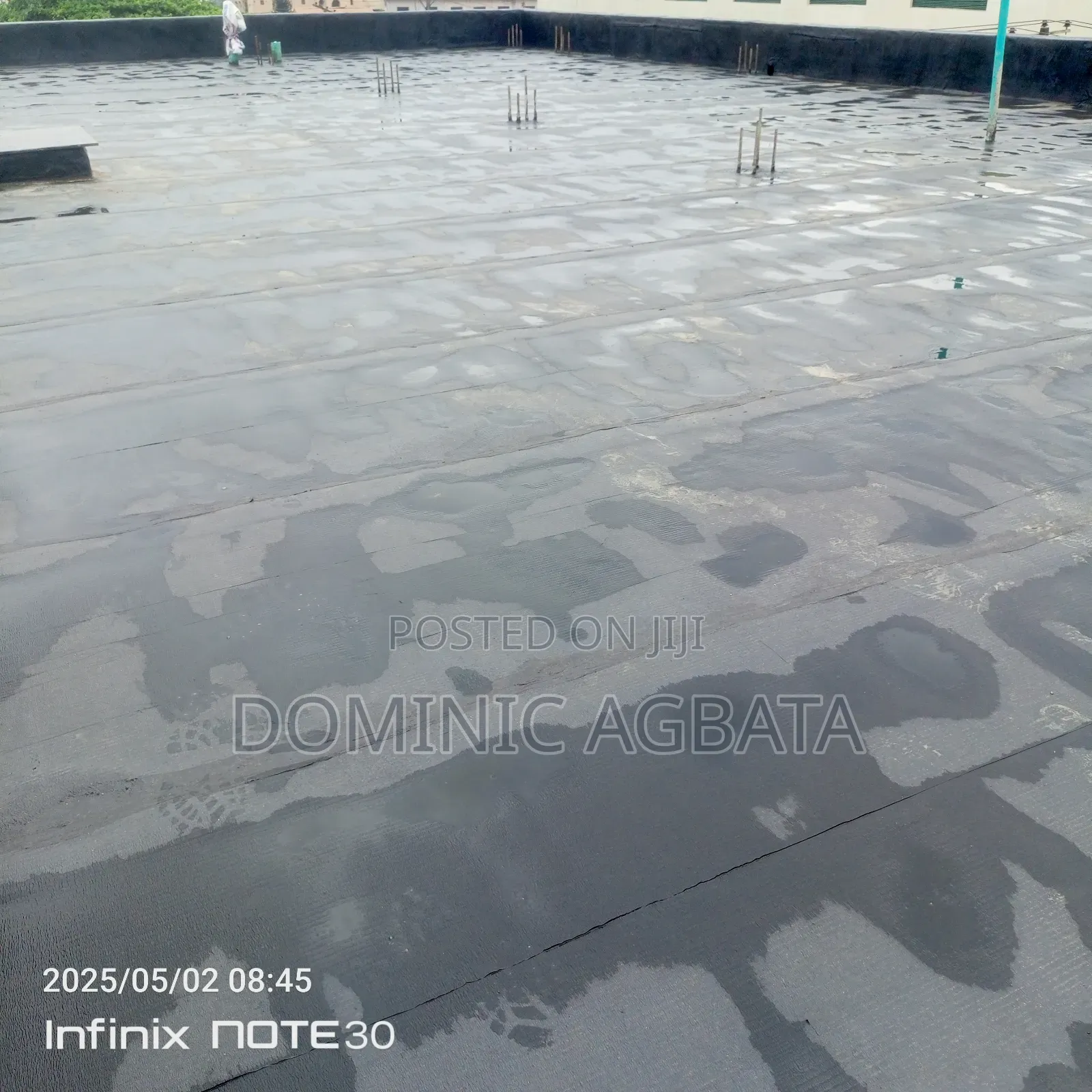 Zany Waterproofing Expert