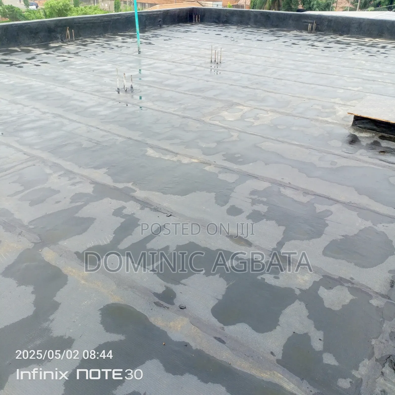 Zany Waterproofing Expert