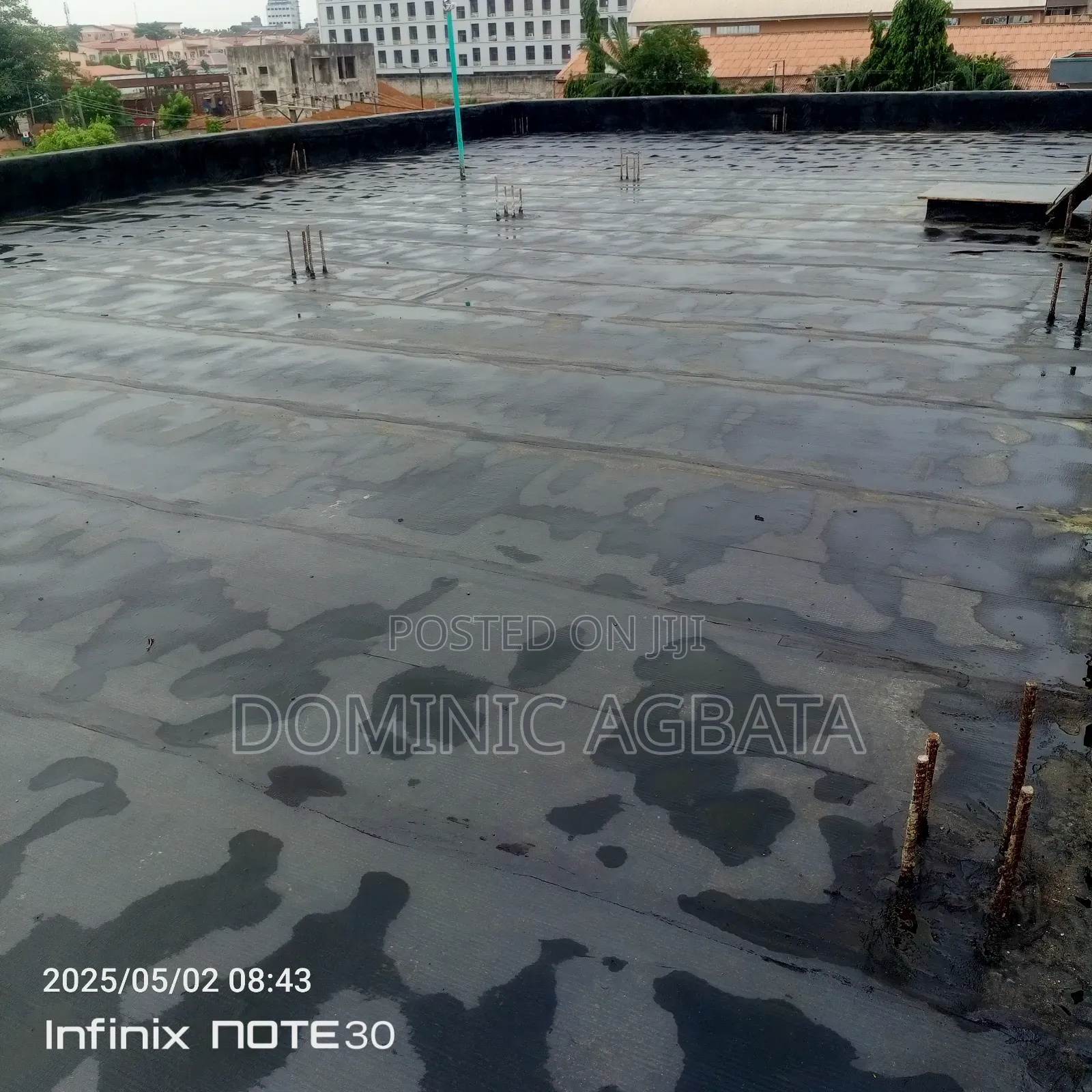 Zany Waterproofing Expert