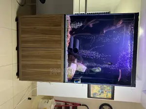 4ft by 4ft Stand Alone Aquarium