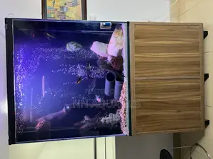 4ft by 4ft Stand Alone Aquarium