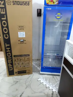 Snowsea Lc-300w Vertical Freezer - Modern Design