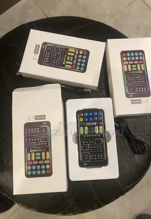 Digital Voice Changer