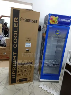 Snowsea Lc-300w - Upright Freezer for Bulk Storage
