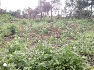 Land for Sale in Agufoye Igbogbo Ikorodu
