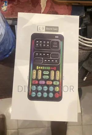 Digital Voice Changer