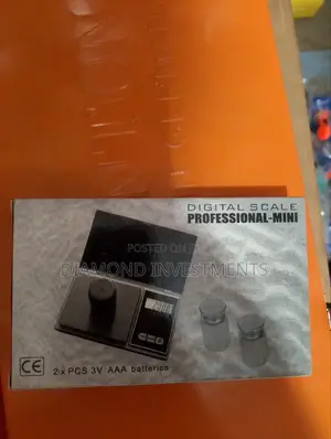 Professional Mini Digital Scale 500g