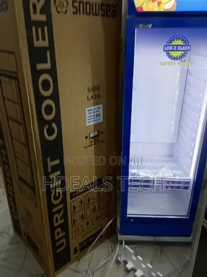 Snowsea Lc-300w Freezer With Interior Lighting