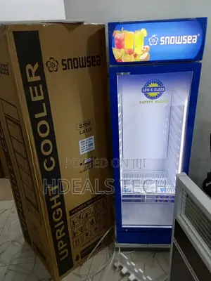 Snowsea Lc-300w - Upright Freezer for All Your Needs