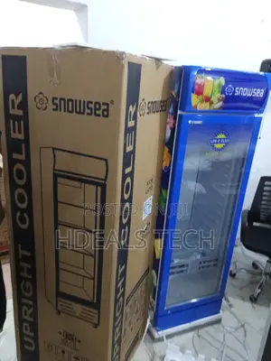 Snowsea Lc-300w - Reliable,Durable,Spacious Freezer