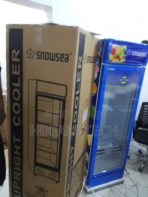 Snowsea Lc-300w Vertical Freezer for Ultimate Convenience