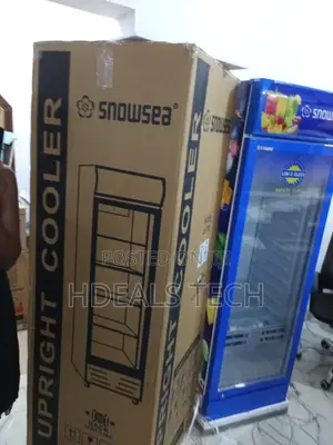 Snowsea Lc-300w Upright Freezer - Compact Yet Spacious