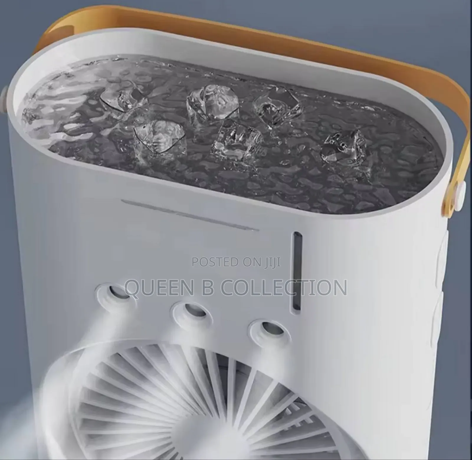 Dual Function Fan