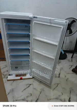 Lg 168l Frz304sn Upright Freezer