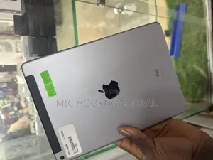 Apple iPad Air 2 128 GB Gray