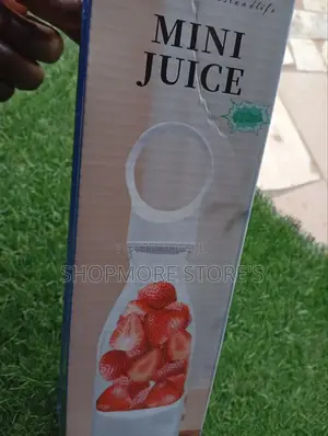 Mini Rechargeable Fruits Blender