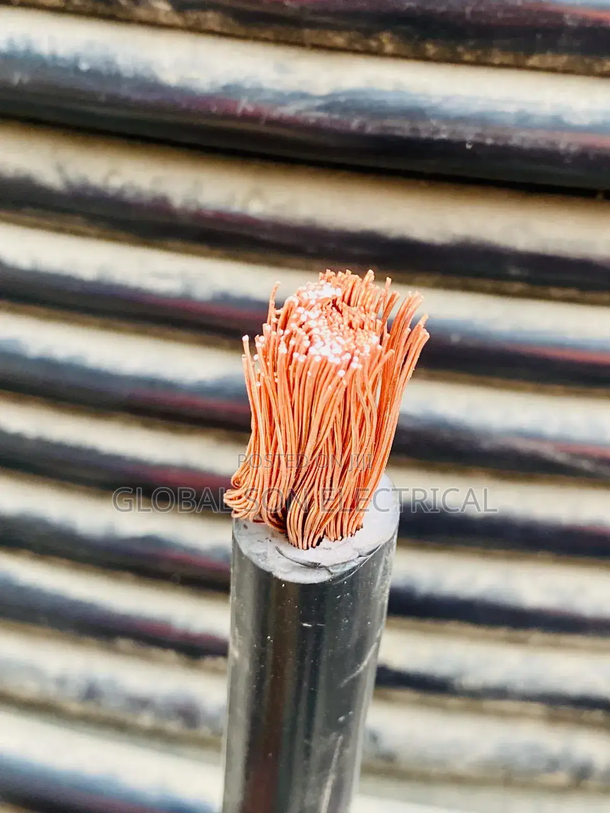 70mmx1core C Divine Single Flex