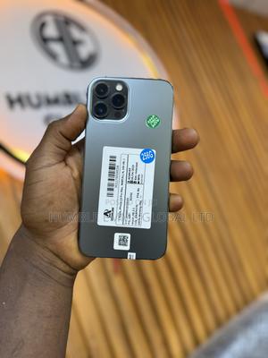 New Apple iPhone 12 Pro Max 256 GB Gray