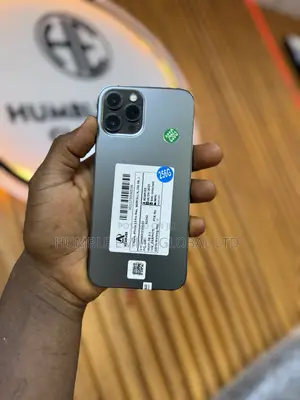 New Apple iPhone 12 Pro Max 256 GB Gray