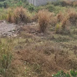 Land of 42.6acres of Agricultural Investment