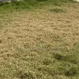 Land Selling Hot at Ajah