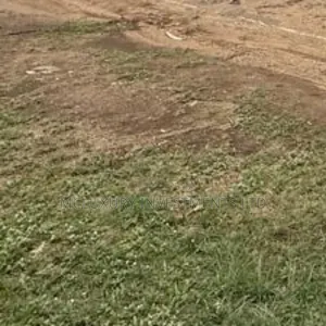 Fenced and Gated Plots of Land Selling