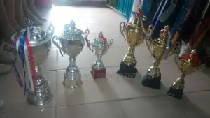 All Sizes Of Gold, Silver Sports Trophies At Bonnyway Sports Intl Ltd