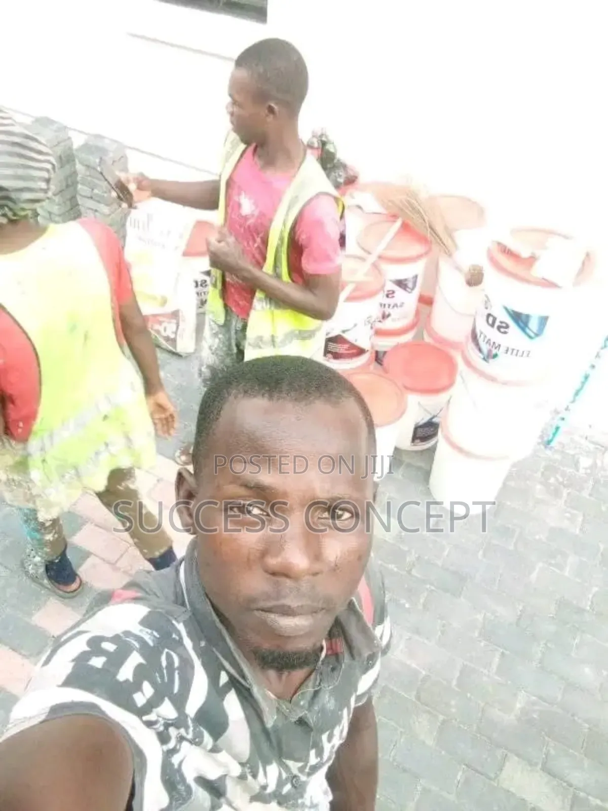 Meticulous Painter