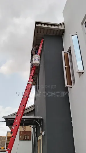 Meticulous Painter